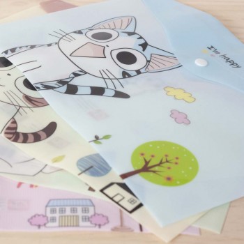 Carpeta Gato Chi