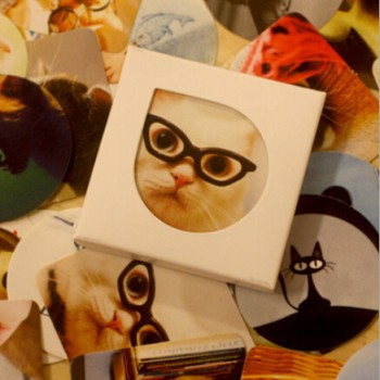 Sticker Box Cats