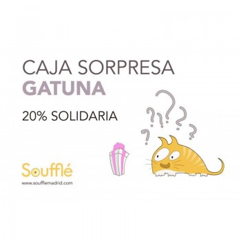Cajita Sorpresa Gatuna 50